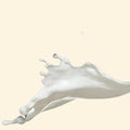 Leche Extra